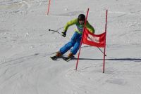 Landes-Ski-2015 49 Wolfgang Spießberger